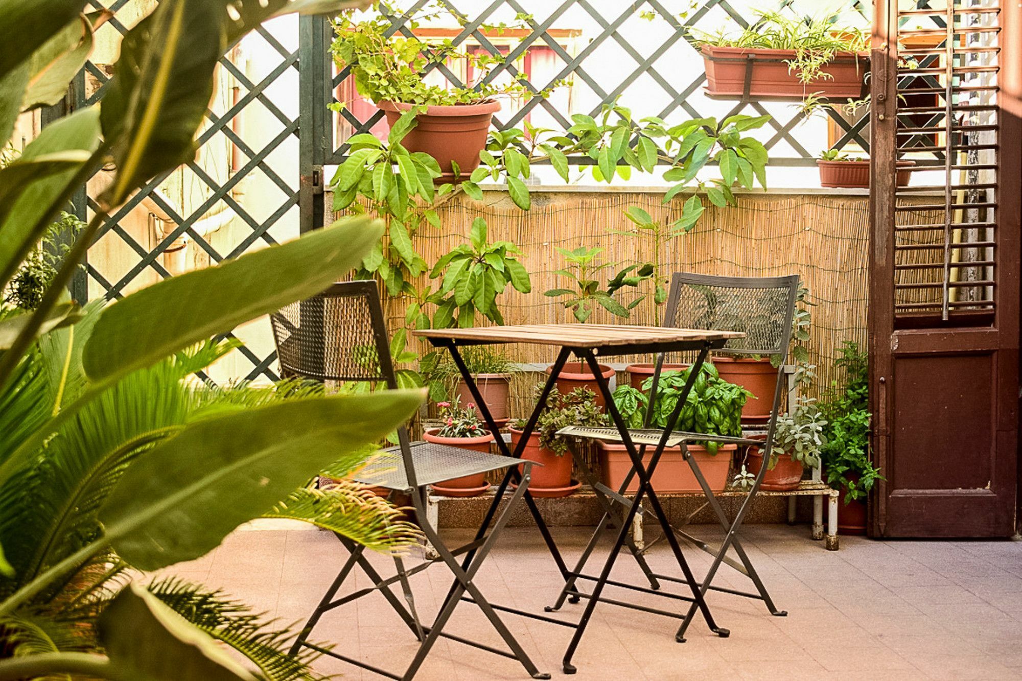 Il Lapino Maison d'hôtes