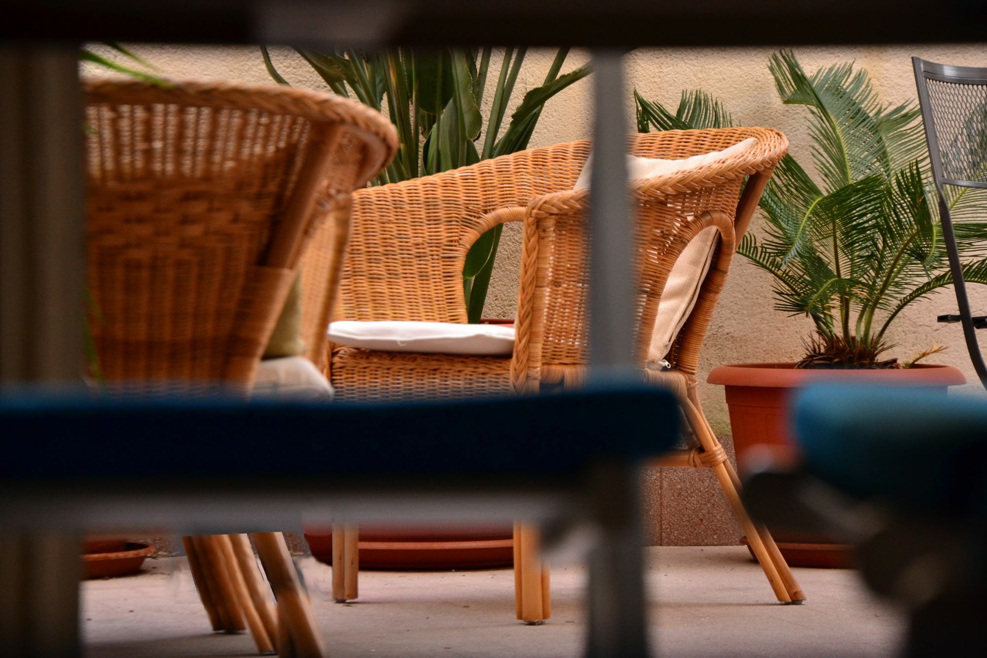 Maison d'hôtes Il Lapino 3*